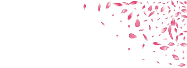 Transparante Rose Petal Vector Panoramische Achtergrond Pastel Vloer Perzik Petal — Stockfoto