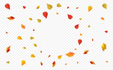 Kahverengi Yaprak Vektörü Şeffaf Arkaplan. Mevsimlik Yaprak Kartı. Altın Dekor Yaprak Çerçevesi. Soyut Çizim.