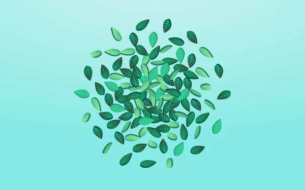 Olivlöv Flygande Vektor Blå Bakgrund Växt Ekologi Löv Illustration Träskgröna — Stockfoto
