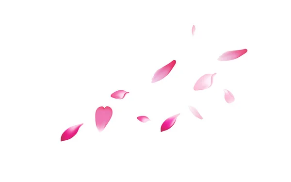 Farbe Kirschblütenblatt Vektor Weißer Hintergrund Rosa Fliegende Blütenblätterdecke Apfel Blütenblatt — Stockfoto