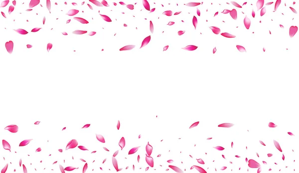Pink Apple Petal Vector White Background Color Wallpaper Flower Petal — 图库照片