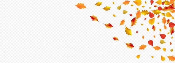 Yellow Leaf Vector Panoramic Transparent Background September Leaves Frame Brown — 스톡 사진