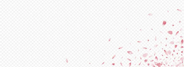 Pink Petal Vector Panoramic Transparent Background Японський Вишневий Шаблон Bloom — стокове фото