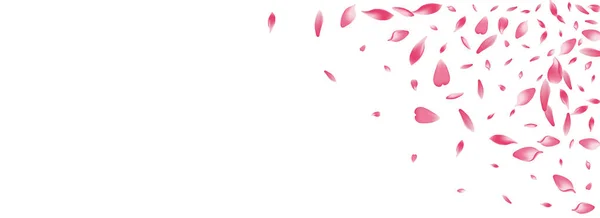 Przezroczysta Rose Petal Wektor Panoramiczne Tło Pastelowa Podłoga Brzoskwiniowy Wzór — Zdjęcie stockowe