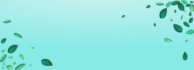 Nane Yeşilliği Bahar Vektörü Panoramik Mavi Arkaplan Şablonu. Önerge Duvar Kağıdı Bırakır. Grassy Leaf Ekoloji Broşürü. Yeşil Bulanık Şablonu.