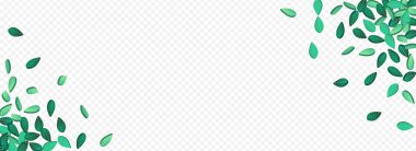 Orman Yaprağı Organik Vektör Panoramik Şeffaf Arkaplan. Bulanık Yaprak Sancağı. Olive Ekoloji Konseptini Bırakıyor. Yeşil Uçan Şablon.