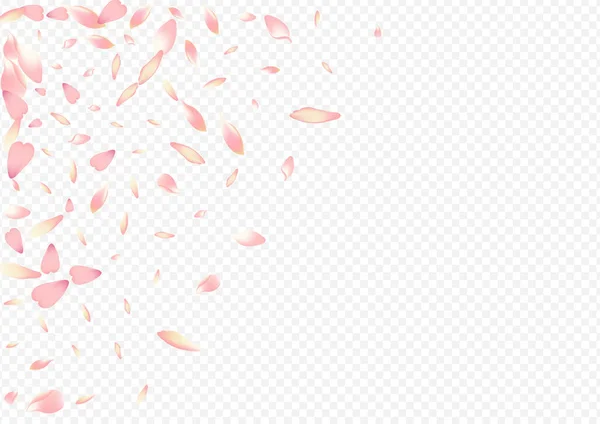 Ljus Blommig Vektor Transparent Bakgrund Peach Banner Bladromantiskt Kort Cherry — Stock vektor