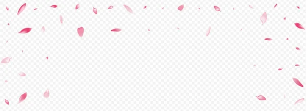 White Bloom Vector Panoramic Transparent Background Постер Rose Air Cherry — стоковий вектор