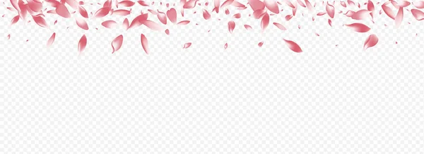 Light Rose Vector Panoramic Transparent Background Blossom Wind Texture Graphic — стоковий вектор