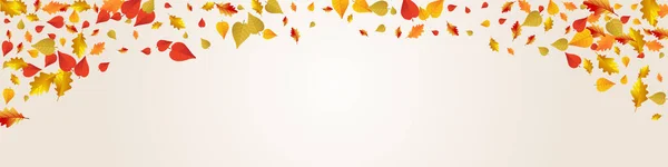 Kleurrijke Bladeren Vector Grijs Panoramische Achtergrond September Foliage Design Golden — Stockvector