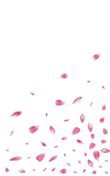 Колір Роуз Пелюсток Векторний Білий Фон Прозорий Квітковий Дизайн Пелюсток — стоковий вектор