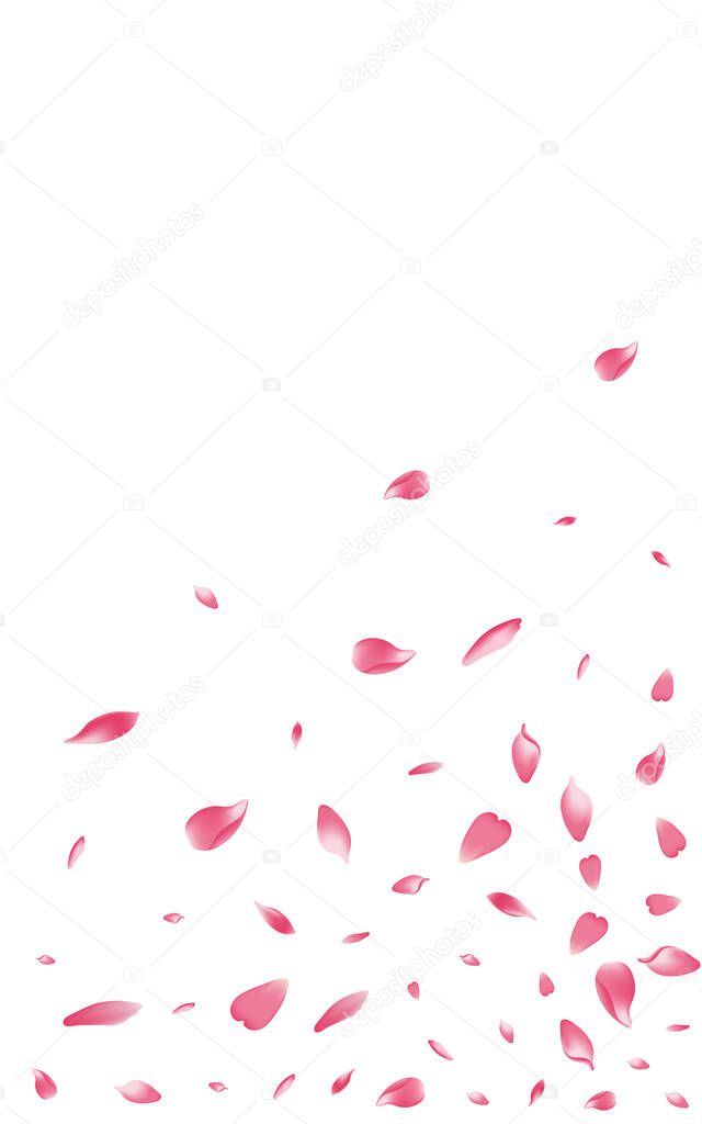 Color Rose Petal Vector White Background. Transparent Floral Cherry Petal Design. Apple Petal Romance Frame. March Sakura Petal Product.