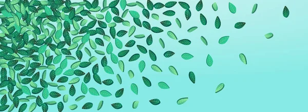 Olive Leaves Spring Vector Panoramic Blue Background Branch Dalam Bahasa - Stok Vektor