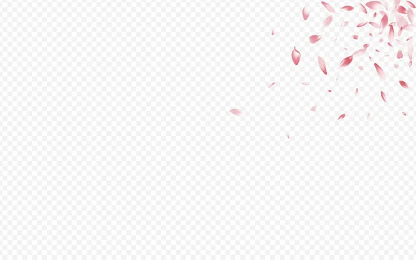 粉红莲花矢量透明背景 Rosa Fly Banner 桃花瀑布模板 植物覆盖设计 艳丽的玫瑰风纹理 — 图库矢量图片