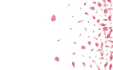 Mor Gül Yaprak Vektörü Beyaz Arkaplan. Şeffaf Bahar Lotus Petrol Kartı. Apple Petal Romantik Arkaplan. Sonbahar Çiçek Taç Tasarımı.