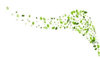 Olive Gerçekçi Vektör Şablonu 'nu Bırakıyor. Rüzgar Yeşilleri Konsepti. Limon Yaprağı Sinek Şubesi. Yaprak Ağacı Duvar Kağıdı.