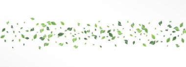 Grassy Leaf Girdap Vektörü Panoramik Beyaz Arkaplan Kavramı. Bitkisel Yapraklar Çizimi. Forest Leaves Tea Posteri. Yeşillik Bulanık Sancak.