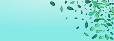 Nane Yaprakları Görüntü Vektörü Panoramik Mavi Arkaplan Tasarımı. Orman Yeşilliği. Yeşil Yeşiller Gerçekçi Şablon. Yaprak Şablonu.