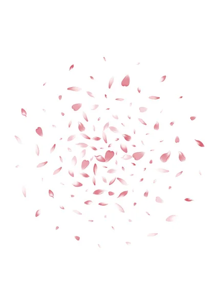 Pastel Pétalo Manzana Vector Fondo Blanco Color Suave Sakura Petal — Archivo Imágenes Vectoriales