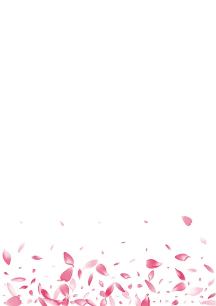 Colore Sakura Petalo Vector Sfondo Bianco Rosa Modello Romantico Petalo — Vettoriale Stock