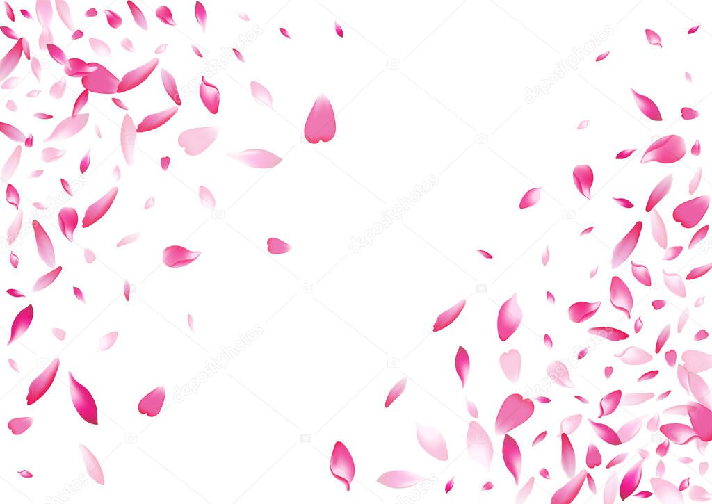 Transparent Sakura Petal Vector White Background. Pastel Dream Rose Petal Cover. Peach Petal Valentine Poster. Floor Apple Petal Product.