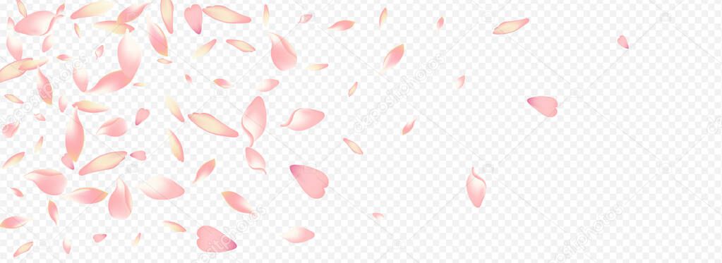 White Heart Vector Panoramic Transparent Background. Sakura Marriage Poster. Blossom Rain Template. Rose Springtime Congratulation. Pink Flower Mother Design.