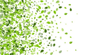 Bataklık Yeşilleri Ağaç Vektör Deseni. Uçan Yaprak Duvar Kağıdı. Yeşil Yaprak Bitkisi. Yaprak Bulanıklığı Arkaplanı.