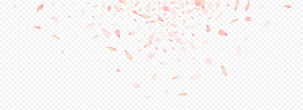 Pink Confetti Vector Panoramic Fondo Transparente Diseño Del Matrimonio Blossom — Archivo Imágenes Vectoriales