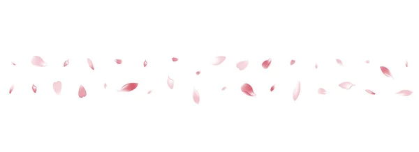 Λευκό Λουλούδι Πέταλ Διάνυσμα Λευκό Φόντο Pastel Πτώση Peach Petal — Διανυσματικό Αρχείο
