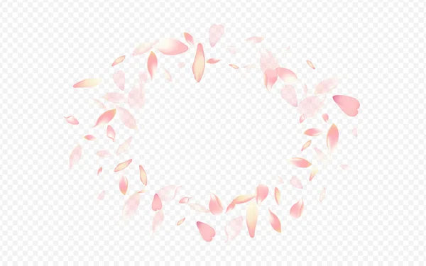 White Sakura Vector Transparent Background Flower Rain Card Rose Graphic — Stock Vector