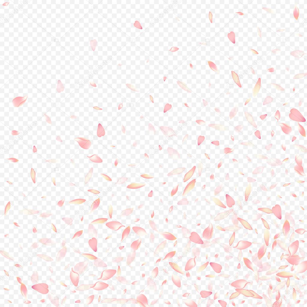 Pink Lotus Vector Transparent Background. Rosa Springtime Illustration. Flower Garden Backdrop. Peach Fresh Pattern. Color Cherry Graphic Cover.