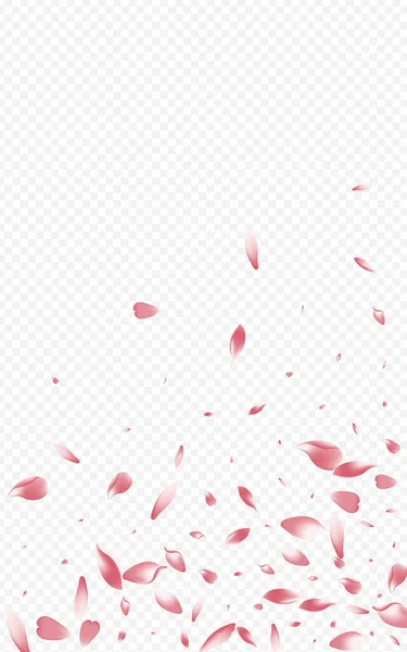 Pembe Bloom Vektör Şeffaf Arkaplan. Gelişmiş Evlilik Düzeni. Çiçek Japon Arkaplanı. Çiçek İhalesi Kutlaması. Renkli Elma Düğün İllüstrasyonu.