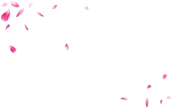 Růžový Okvětní Lístek Vektor Bílé Pozadí Průhledný Plakát Květinami Sakura — Stockový vektor