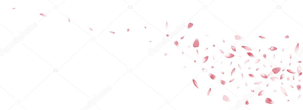Color Rose Petal Vector White Background. White 3d Sakura Petal Texture. Peach Petal Soft Card. Invitation Apple Petal Frame.