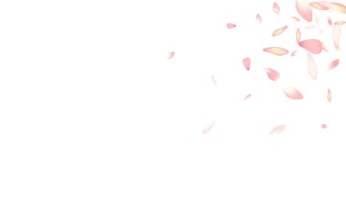 Pastel Apple Petal Vektör Beyaz Arkaplan. Beyaz Uçan Şeftali Yaprağı Posteri. Sakura Petal Sevgililer Günü Bayrağı. Gerçekçi Nilüfer Yaprağı İllüstrasyonu.