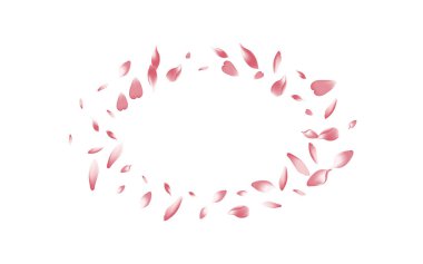 Şeffaf Gül Yaprağı Vektörü Beyaz Arkaplan. Renkli Romantik Nilüfer Yaprağı Çizimi. Şeftali yapraklı uçan çerçeve. Japonya Elma Yaprağı Arkaplanı.