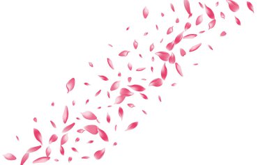 Şeffaf Gül Yaprağı Vektörü Beyaz Arkaplan. Beyaz Düğün Sakura Taç Örnekleri. Çiçek Yaprağı Sonbaharı Tebrik ederim. Taze Elma Yaprağı Kapağı.