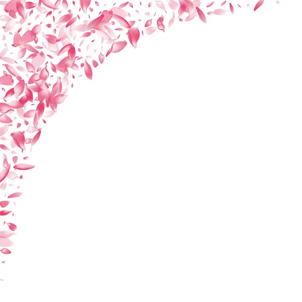 Sakura Rose Vecteur Pétale Fond Blanc Pastel Beauté Cherry Petal — Image vectorielle