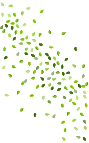 草の緑の運動ベクトル壁紙 木の葉のテンプレート スワンプの葉の渦巻きパターン 茶葉の境界線 — ストックベクタ