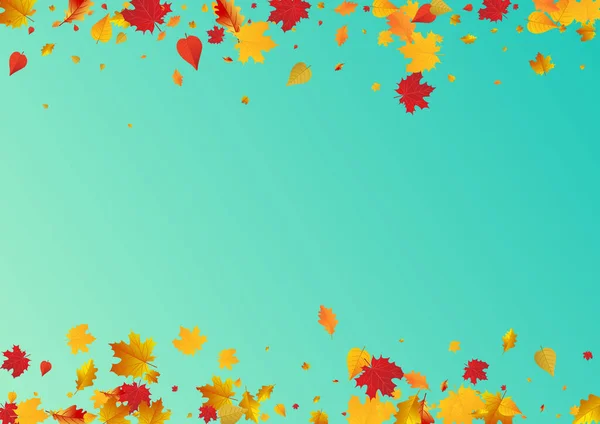 Autumnal Foliage Vector Blue Background Nature Leaves Frame Red Collection — Stock Vector