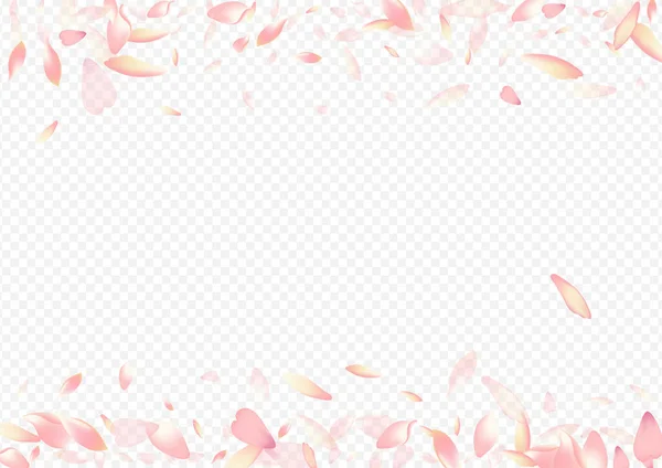 Kleur Petal Vector Transparante Achtergrond Hartloze Achtergrond Sakura Grafische Poster — Stockvector