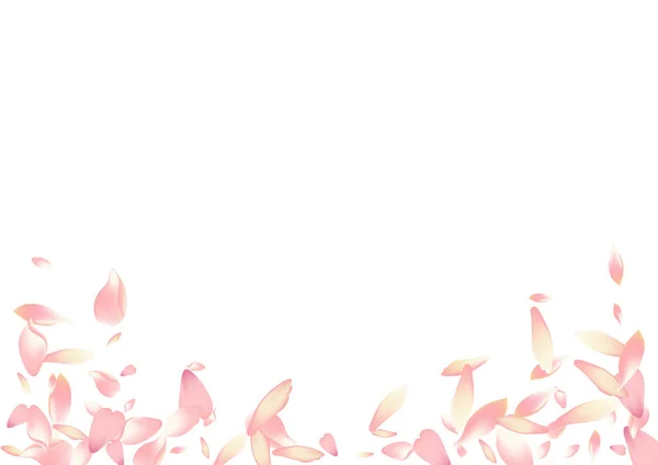 Pastell Persika Petal Vektor Vit Bakgrund Vit Blommig Lotus Petal — Stock vektor