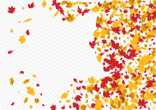 Ocher Leaf Vector Transparent Background 수집용 디자인 Golden Shape Foliage — 스톡 벡터