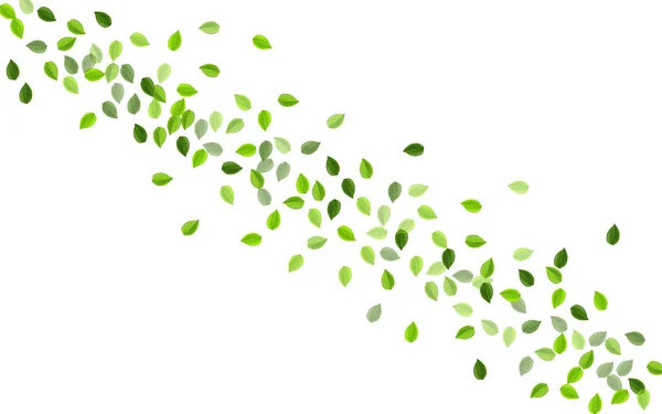 Feuilles Vertes Modèle Vectoriel Arbre Modèle Feuille Tourbillonnante Fond Écran — Image vectorielle