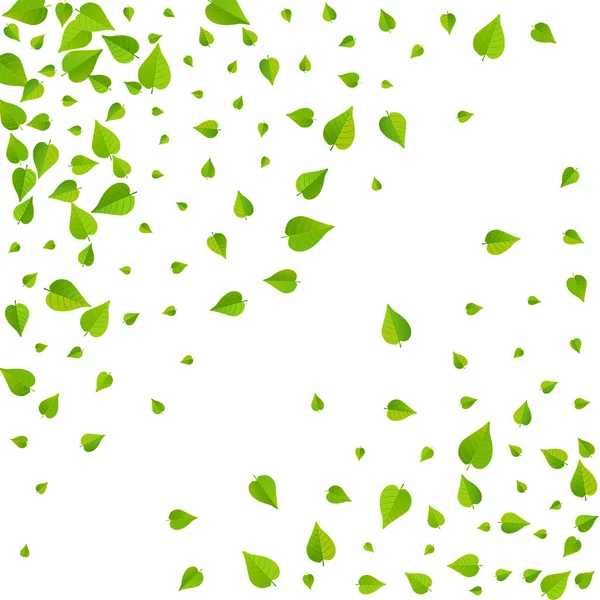 Grassy Leaf Fly Vector Blanc Fond Bannière Motion Verts Toile — Image vectorielle