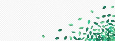 Zeytin Yaprağı Uçan Vektör Panoramik Şeffaf Arkaplan Çizimi. Düşen Yaprak Sınırı. Yeşil Yeşiller Hareketi Duvar Kağıdı. Yaprak Taze Arkaplan.