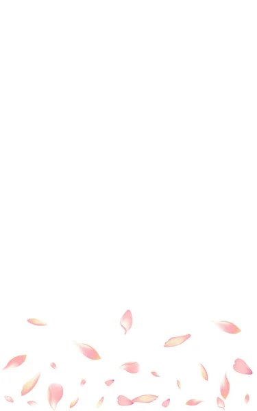 Violet Lotus Petal Vector Fond Blanc Bannière Pétale Pomme Rêve — Image vectorielle