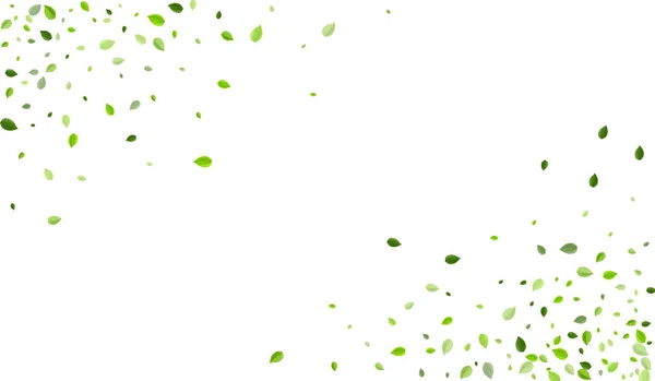 Lime Foliage Motion Vector Branch Wind Leaves Concept Mint Leaf —  Vetores de Stock