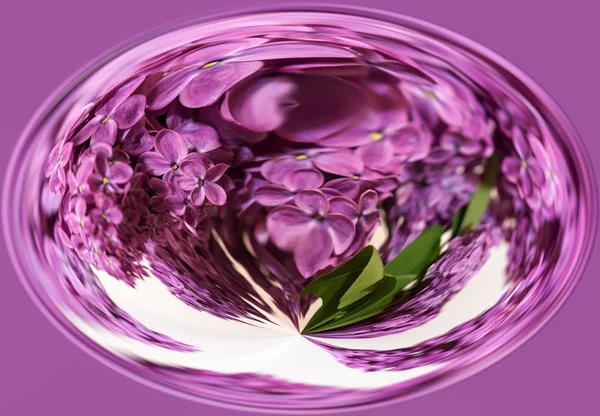 Lilac oval sfære – stockfoto