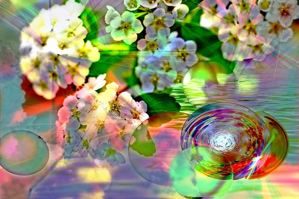 Kolorowa Abstrakcja z kwiatami i sfer — Zdjęcie stockowe